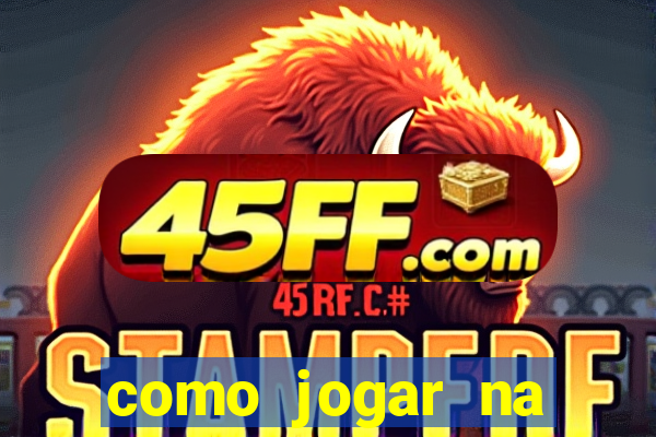 como jogar na lotinha do jogo do bicho